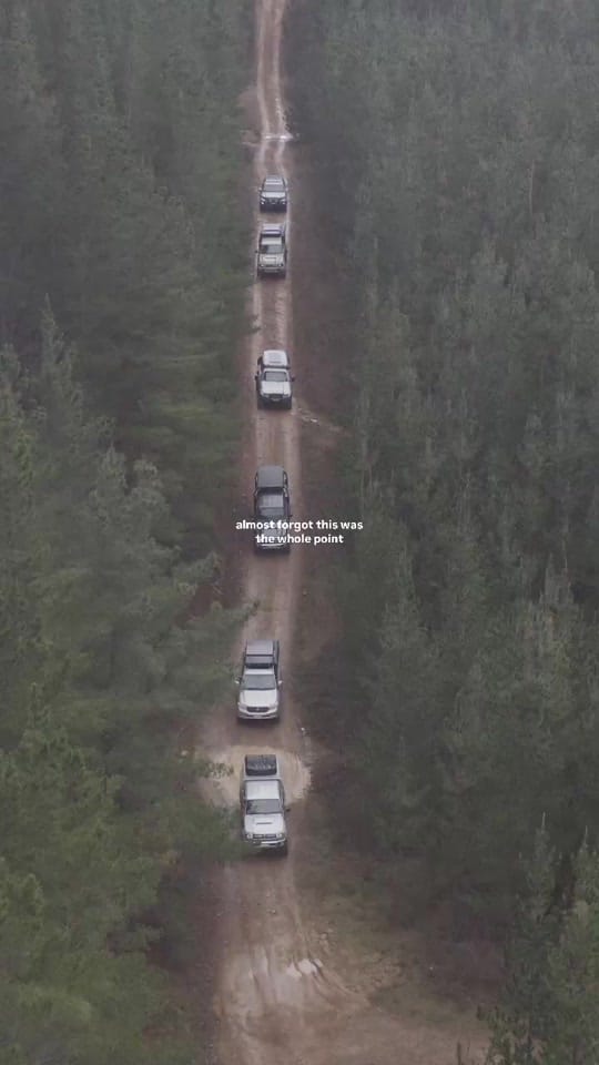 Post 2 by Adelaide Swanson on TikTok (video)