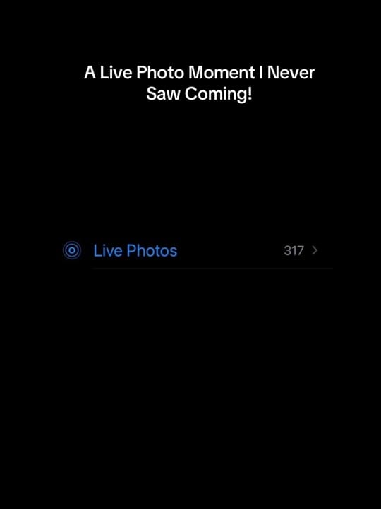 Post 5 by Michelle Ciotti on TikTok (video)