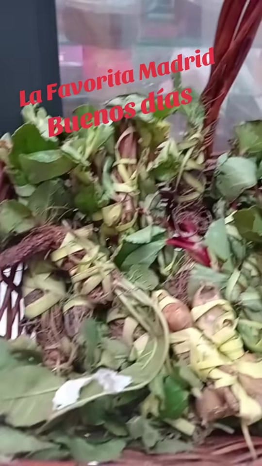 Post 5 by 𝔽𝕒𝕧𝕠𝕣𝕚𝕥𝕒𝕄𝕒𝕕𝕣𝕚𝕕 on TikTok (video)