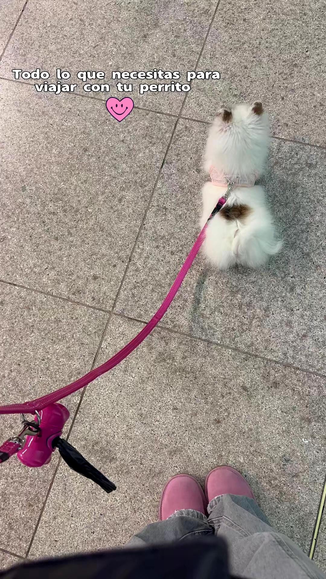 Post 6 by alicia gonzalez on TikTok (video)