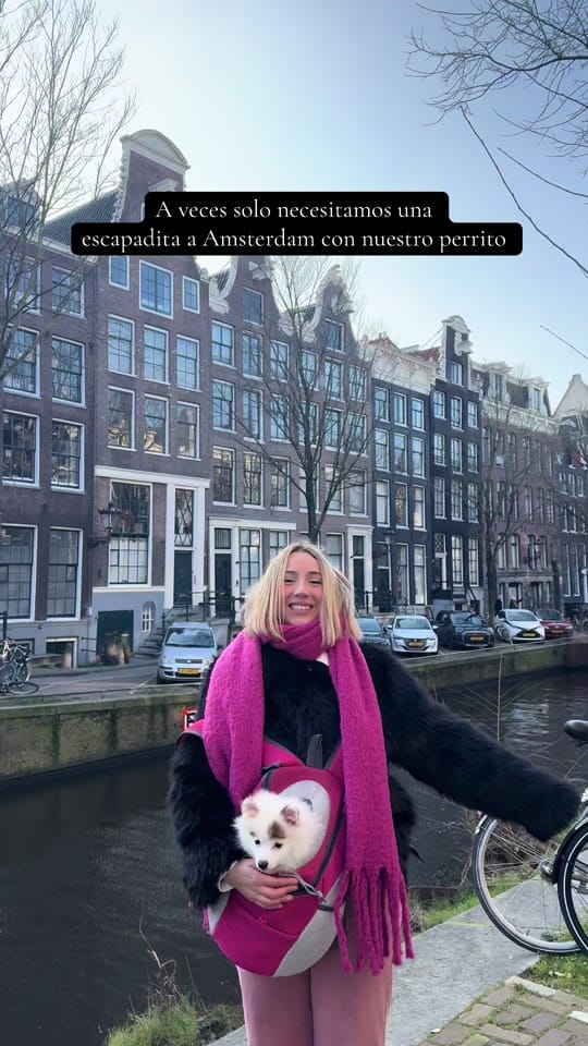 Post 7 by alicia gonzalez on TikTok (video)