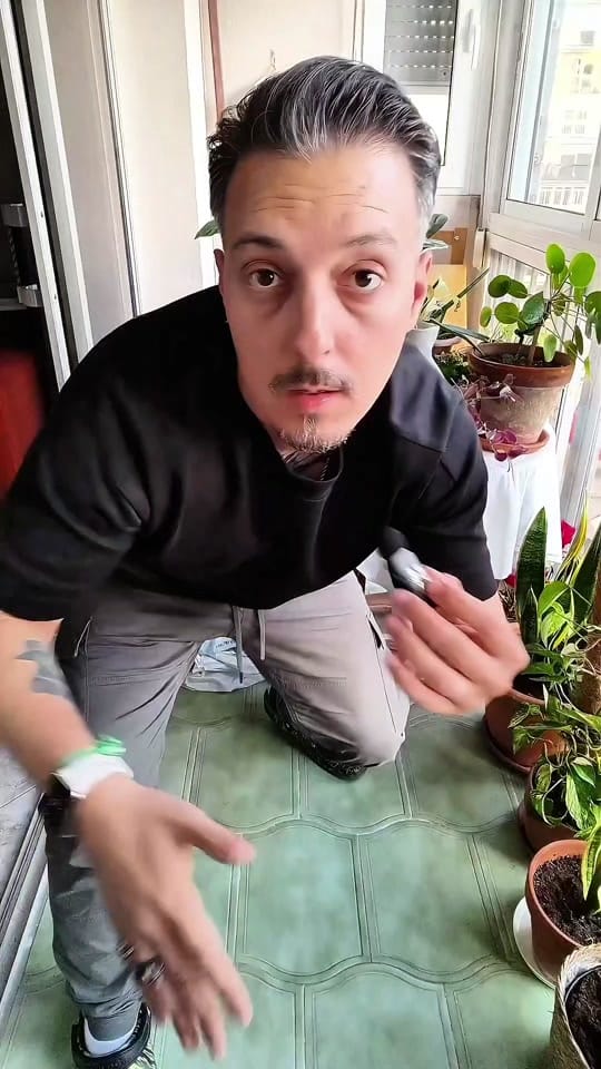 Post 4 by Dr. Carmona, supongo on TikTok (video)