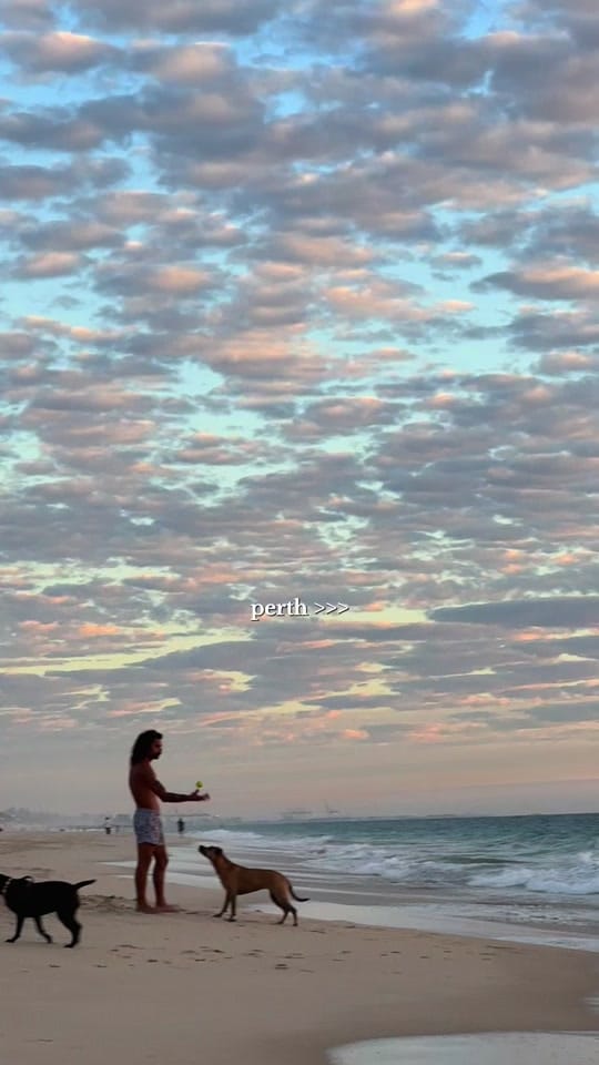 Post 4 by liessameetslife on TikTok (video)