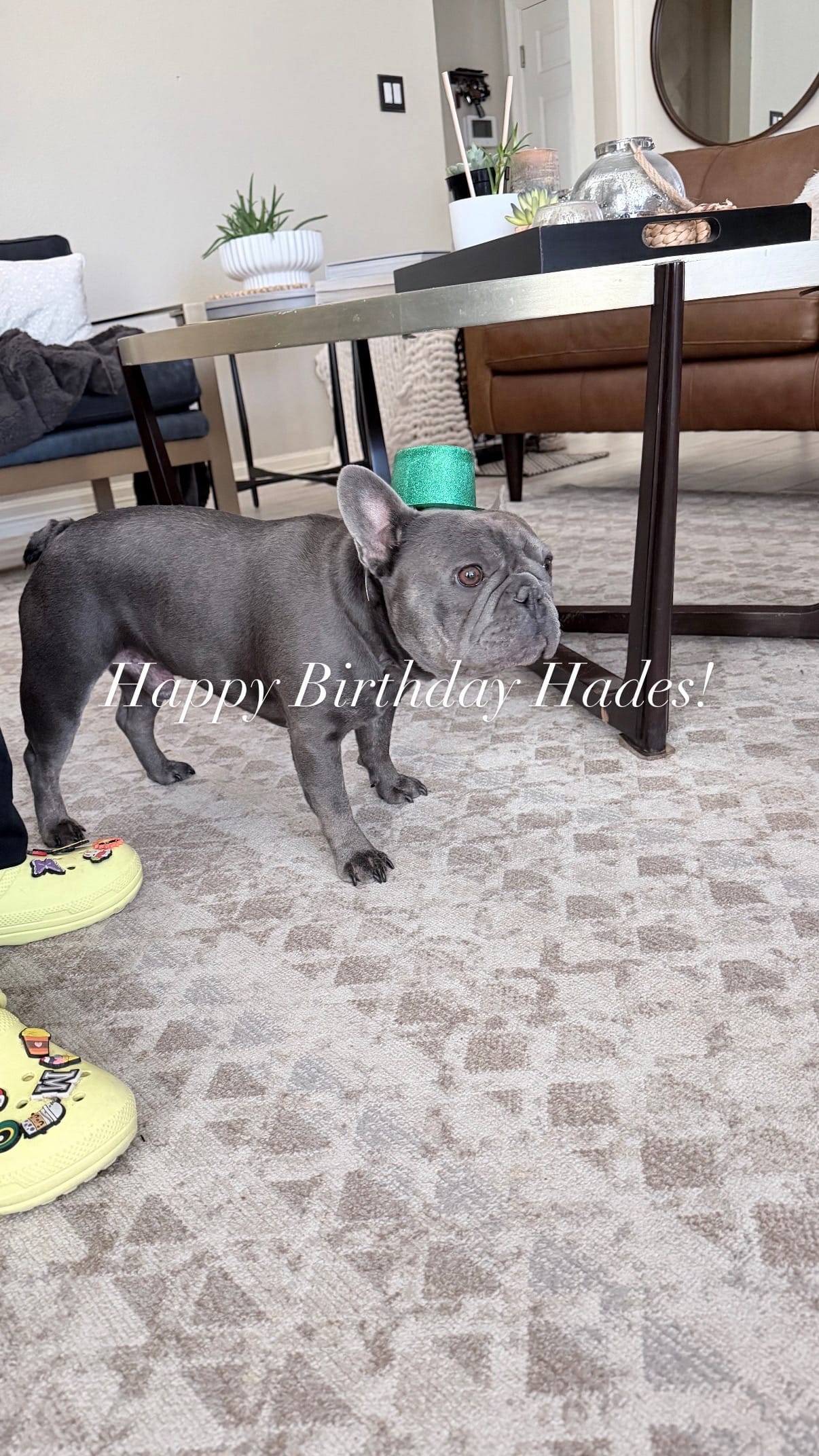 Post 5 by dianasellsaustin on TikTok (video)
