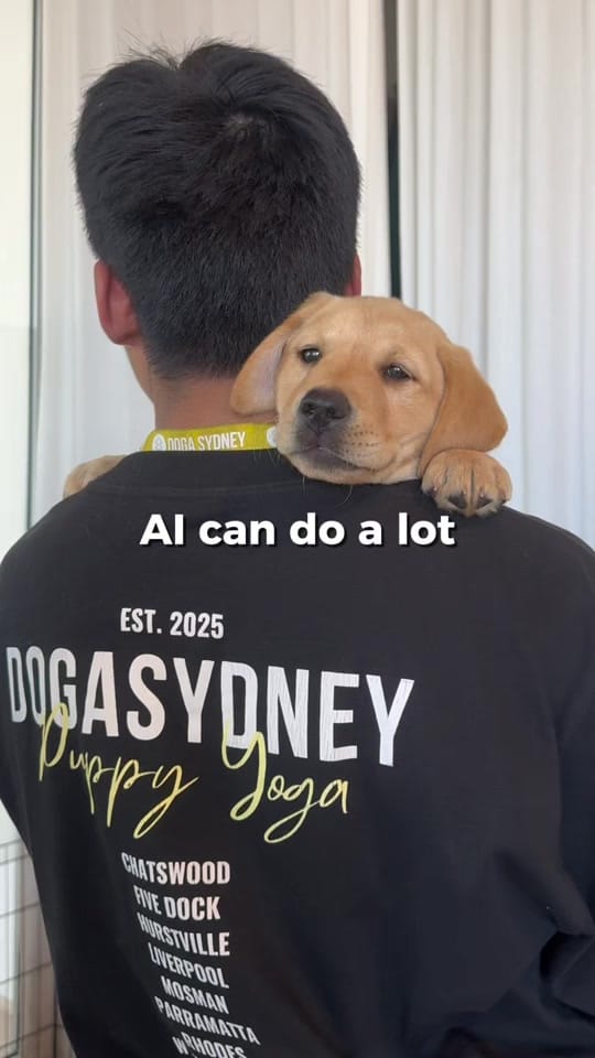 Post 3 by Doga Sydney | Puppy Yoga on TikTok (video)