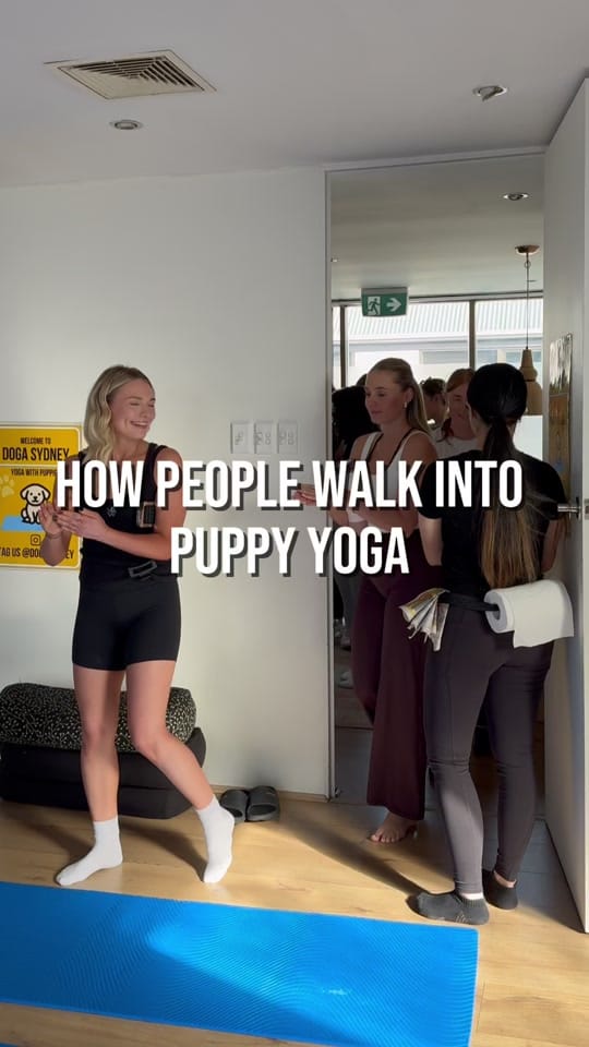 Post 8 by Doga Sydney | Puppy Yoga on TikTok (video)