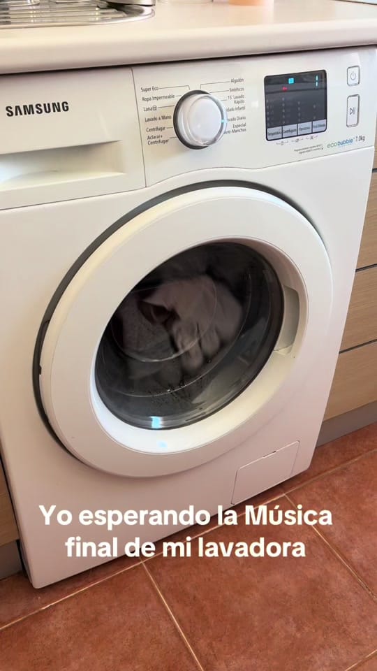 Post 6 by Paloma Cristina on TikTok (video)