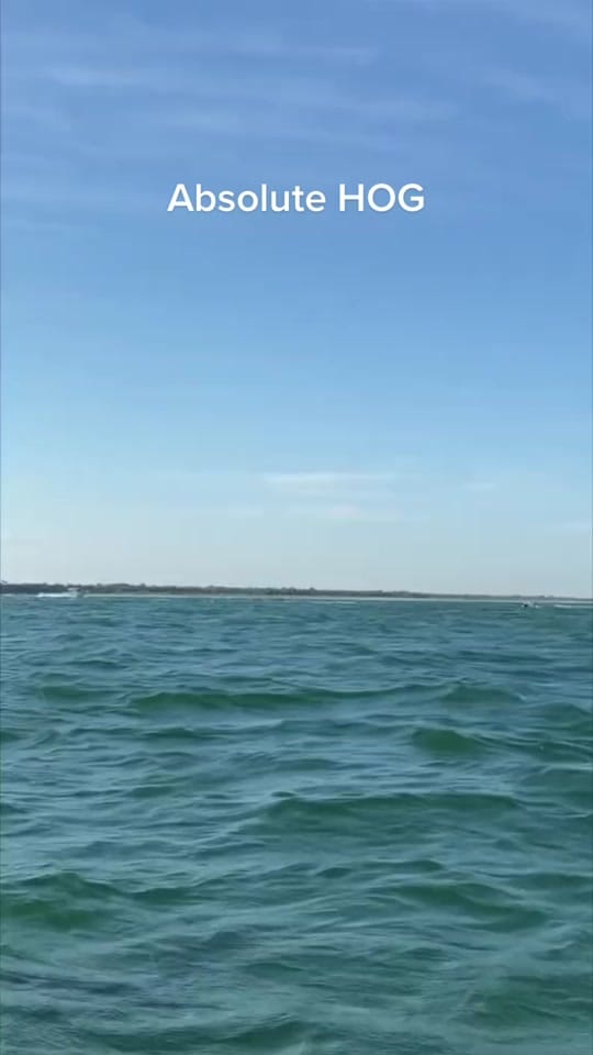 Post 9 by Tom Dyson on TikTok (video)