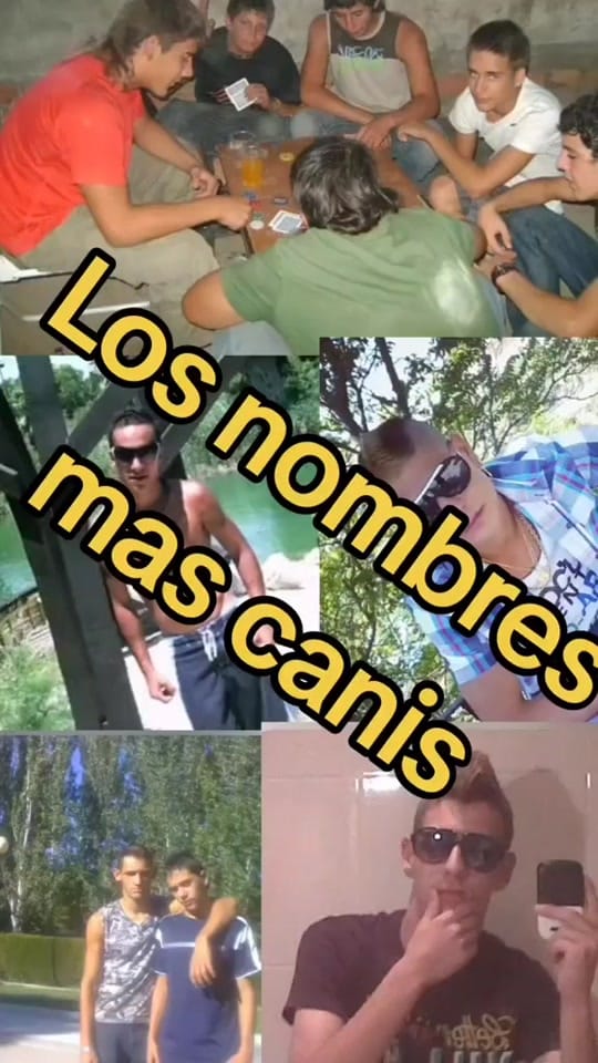 Post 1 by ⚠️ 🆆🅰🅽🅸-🆃🅾🆇 ⚠️ on TikTok (video)
