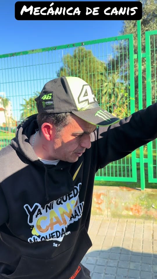 Post 3 by ⚠️ 🆆🅰🅽🅸-🆃🅾🆇 ⚠️ on TikTok (video)