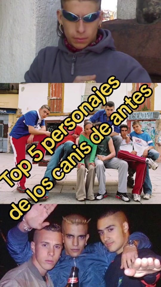 Post 8 by ⚠️ 🆆🅰🅽🅸-🆃🅾🆇 ⚠️ on TikTok (video)