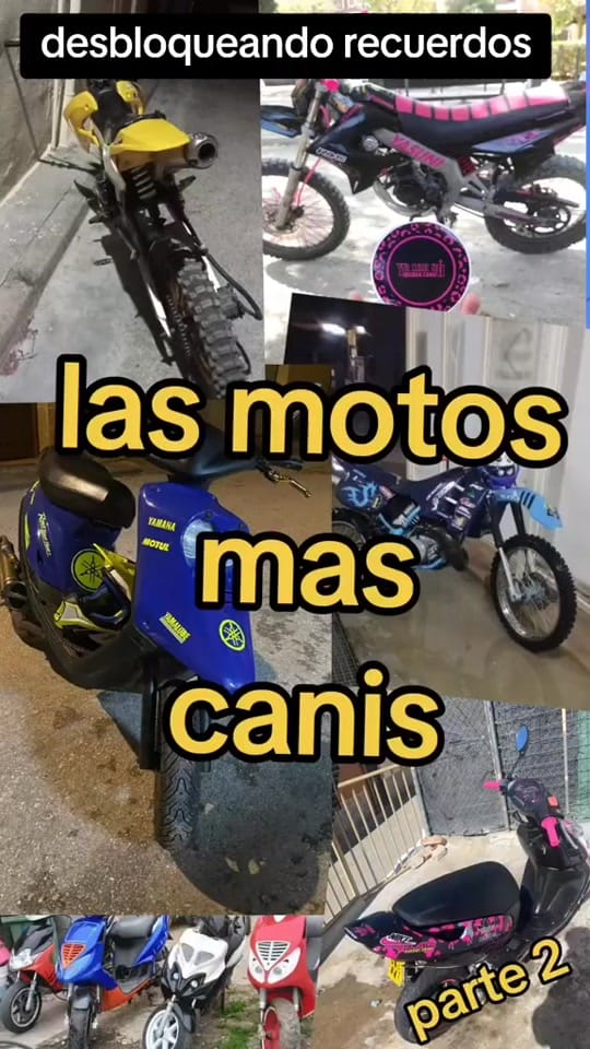 Post 4 by ⚠️ 🆆🅰🅽🅸-🆃🅾🆇 ⚠️ on TikTok (video)