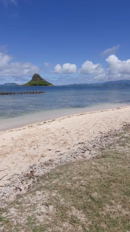 Post 6 by Michael Wong on TikTok (video)
