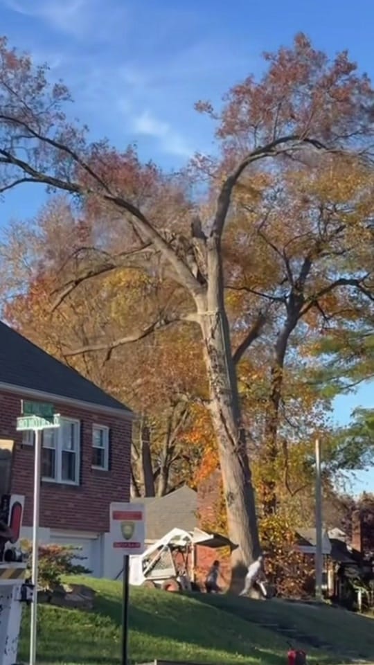 Post 4 by USA Construction on TikTok (video)