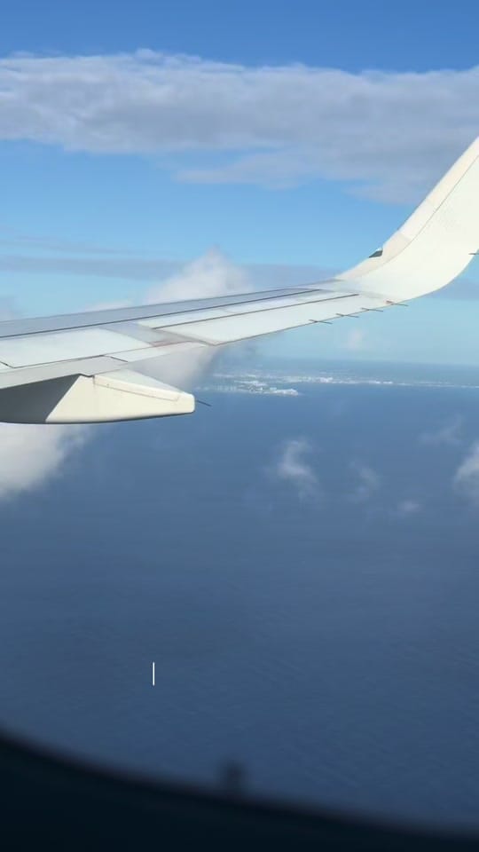 Post 3 by Sydney on TikTok (video)