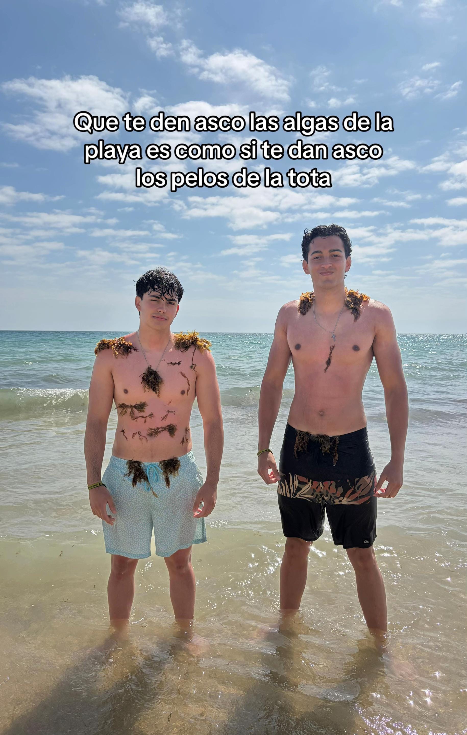 Post 2 by felipegonzaleez on TikTok (video)