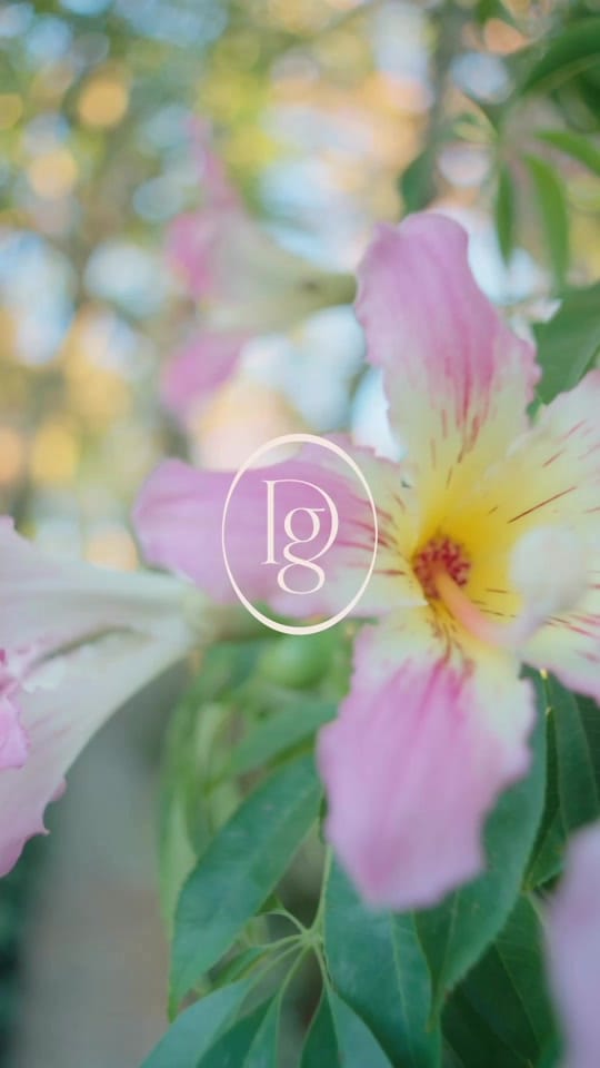 Post 2 by Daria Greenbaum on TikTok (video)