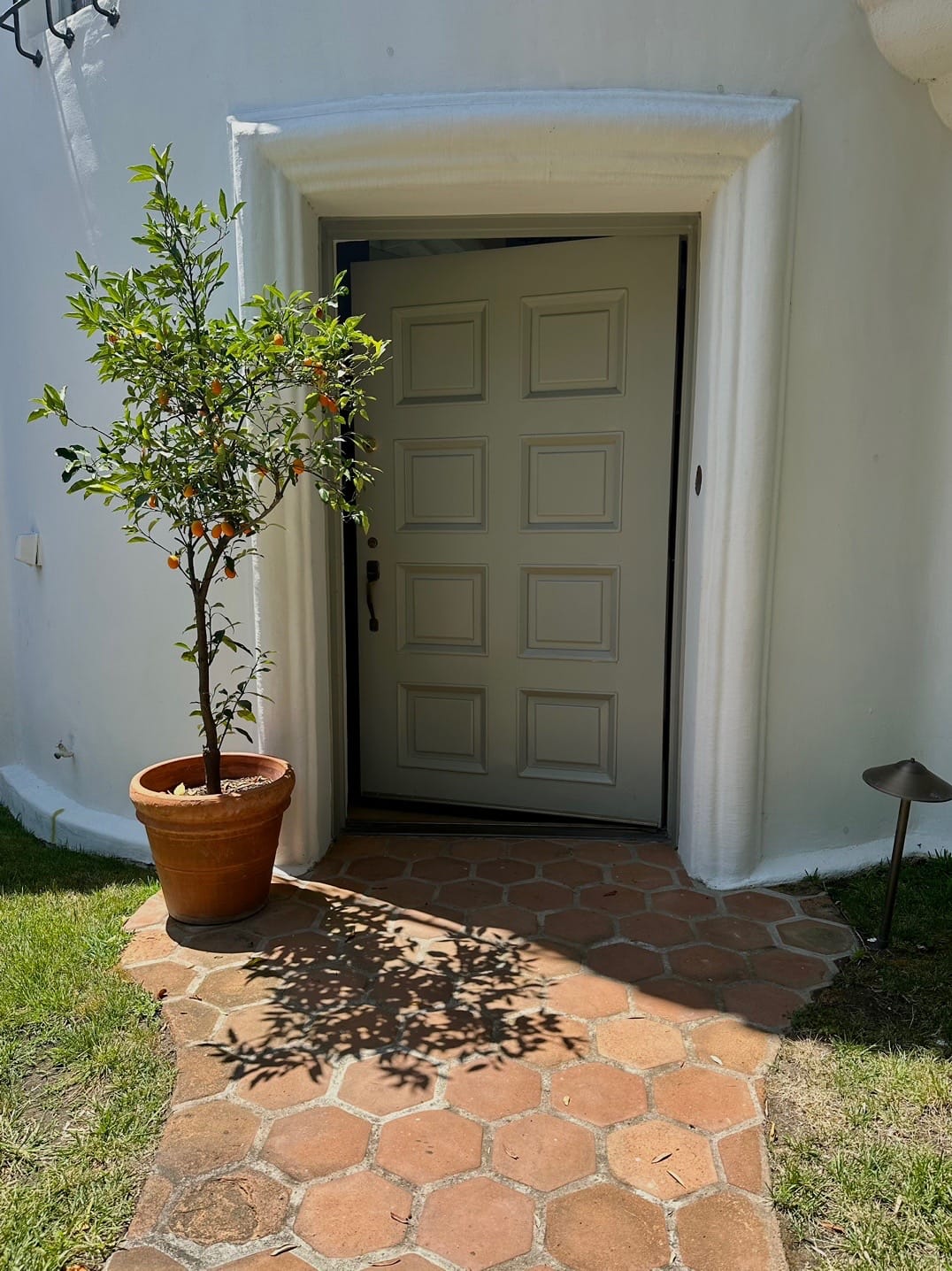 Post 10 by Daria Greenbaum on TikTok (video)