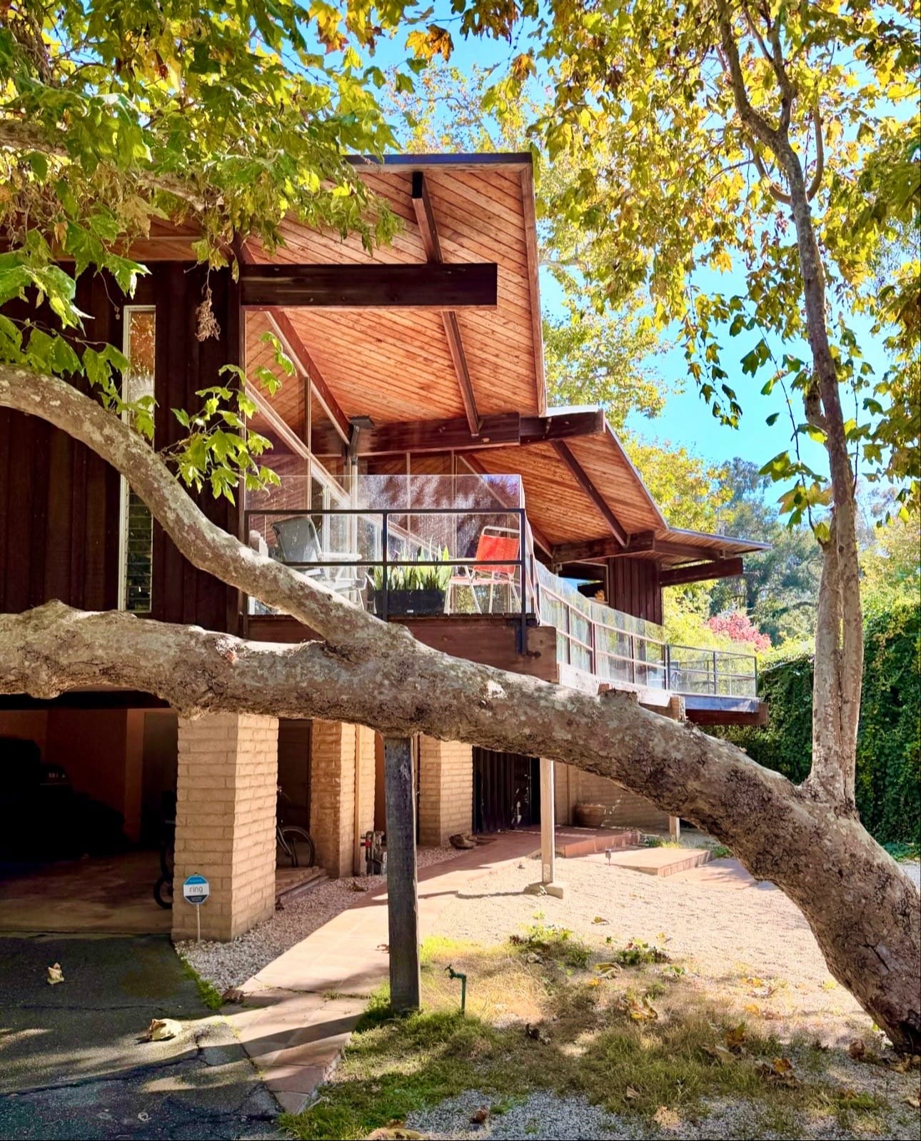 Post 5 by Daria Greenbaum on TikTok (video)