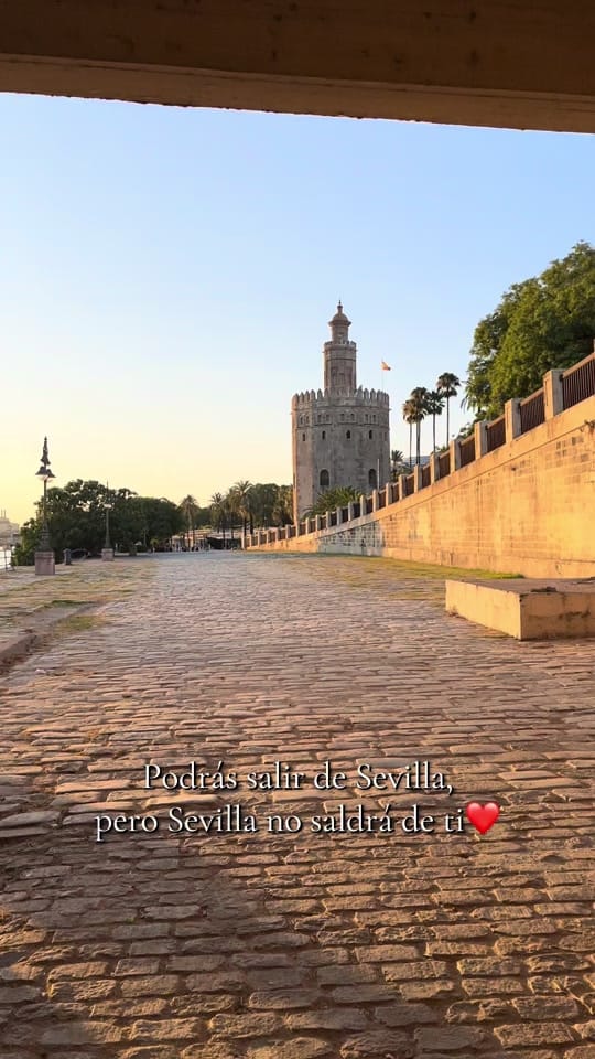 Post 4 by Alex en CZ 🇨🇿 on TikTok (video)