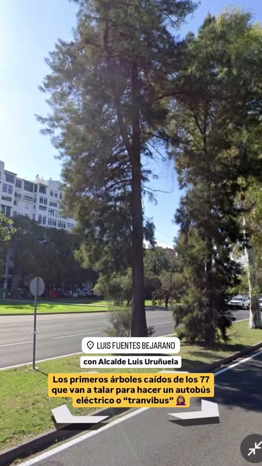 Post 4 by sevillaresiste_ on TikTok (video)