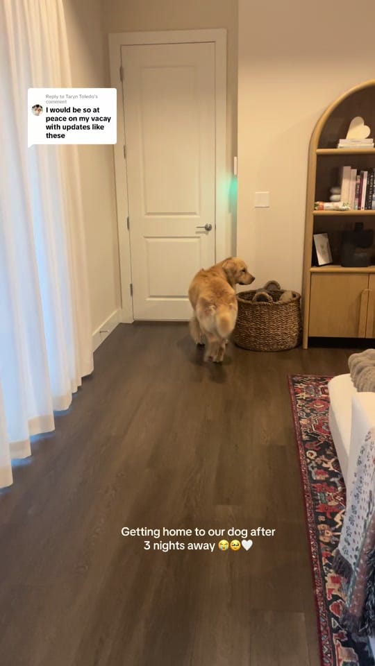 Post 2 by SYDNEY ADAMS KING on TikTok (video)