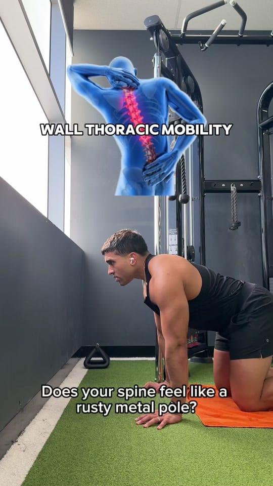 Post 2 by Alpha Body on TikTok (video)