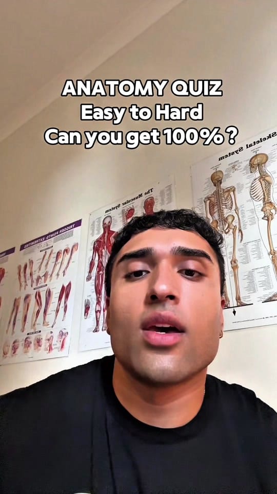 Post 3 by Alpha Body on TikTok (video)