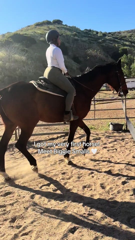 Post 4 by justdixon on TikTok (video)