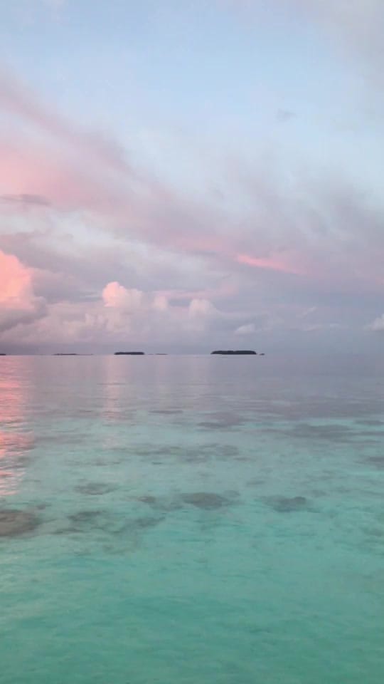 Post 10 by Bec • Personal Trainer on TikTok (video)