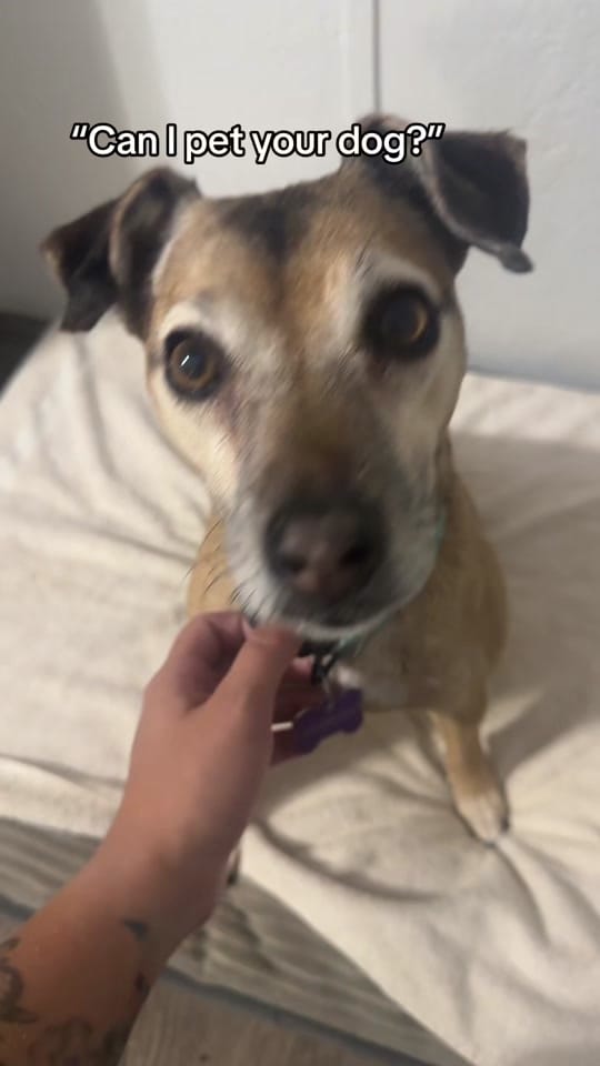Post 4 by Regan Frazier REALTOR® on TikTok (video)