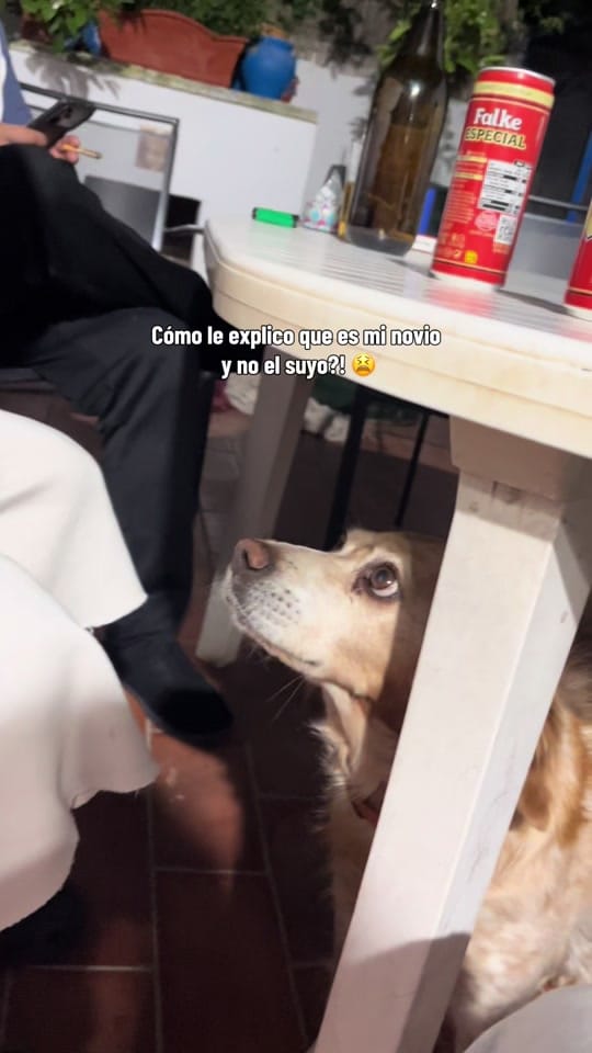 Post 2 by María Rueda 🎀 on TikTok (video)