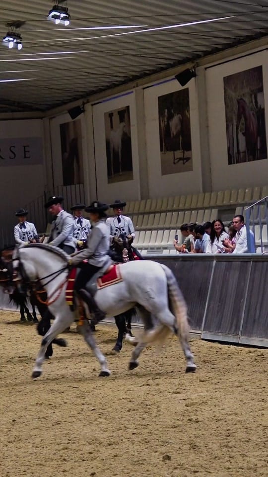 Post 3 by EVENHORSE on TikTok (video)