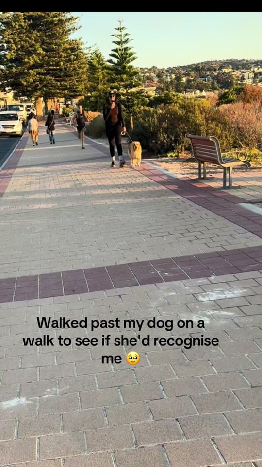 Post 3 by Isaac Humphries on TikTok (video)