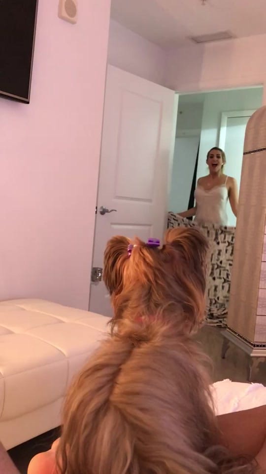 Post 1 by Leyani T Garcia | Tx Realtor on TikTok (video)