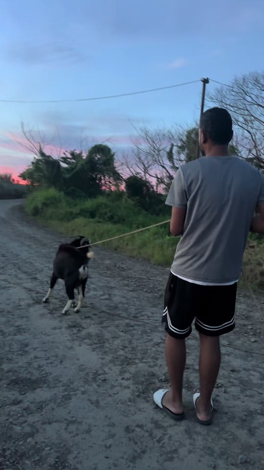 Post 3 by Benita Hans Narayan on TikTok (video)