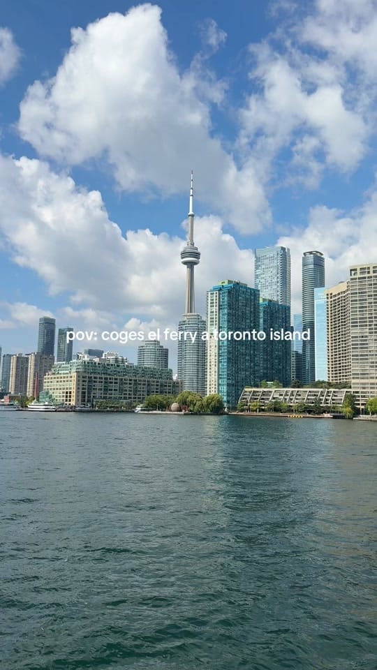 Post 2 by daniela on TikTok (video)