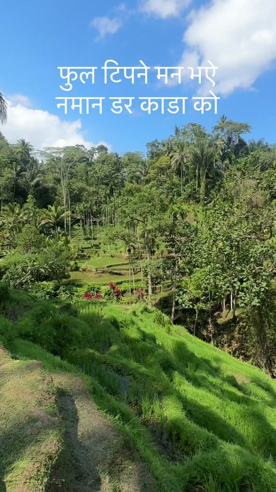Post 5 by Suresh Thakuri on TikTok (video)