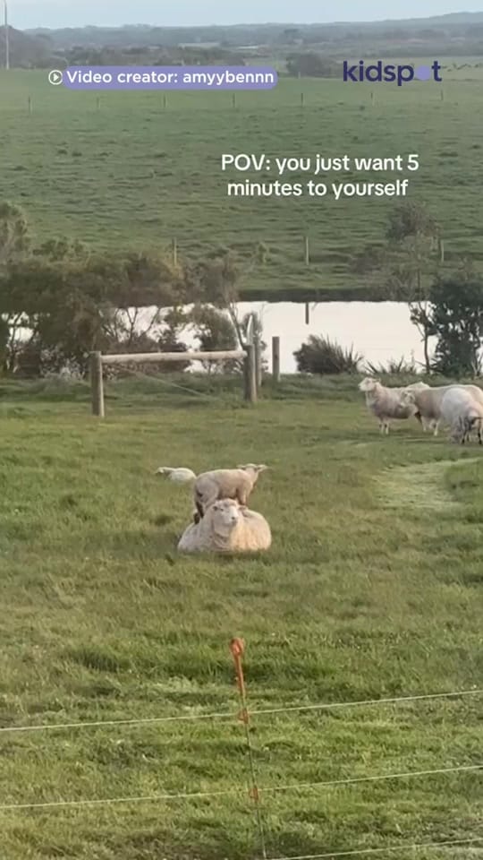 Post 1 by Kidspot Official on TikTok (video)