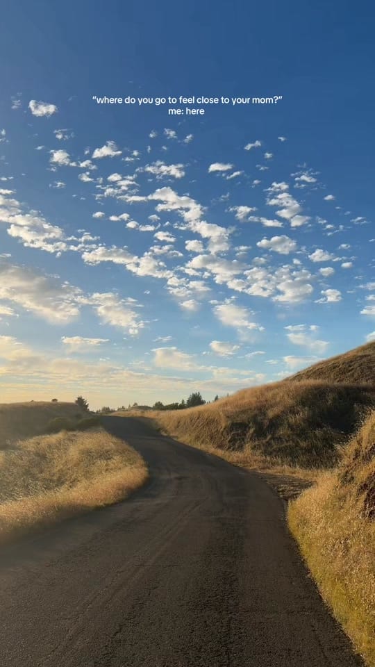 Post 1 by Lauren on TikTok (video)