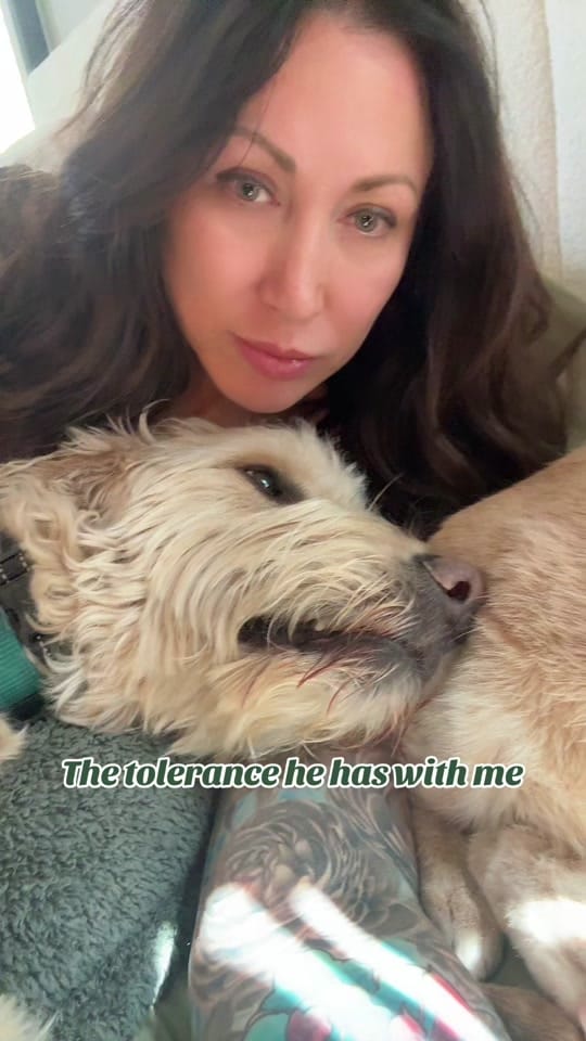 Post 9 by Kristen Sells Colorado on TikTok (video)