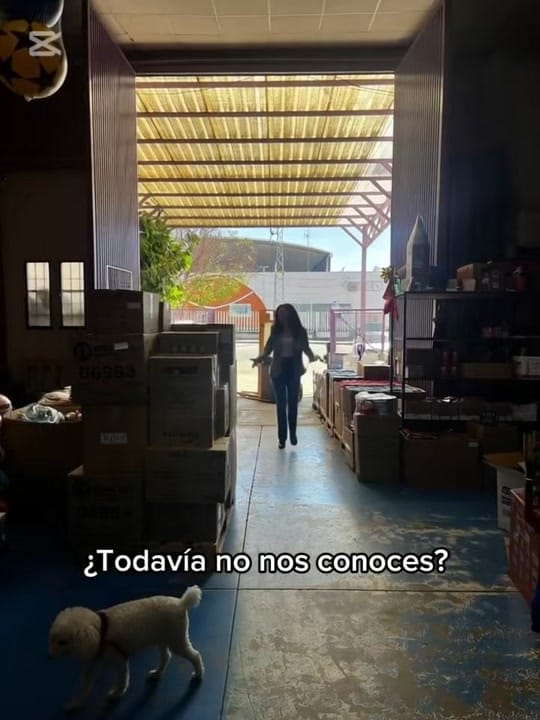 Post 4 by Flying seep trade on TikTok (video)