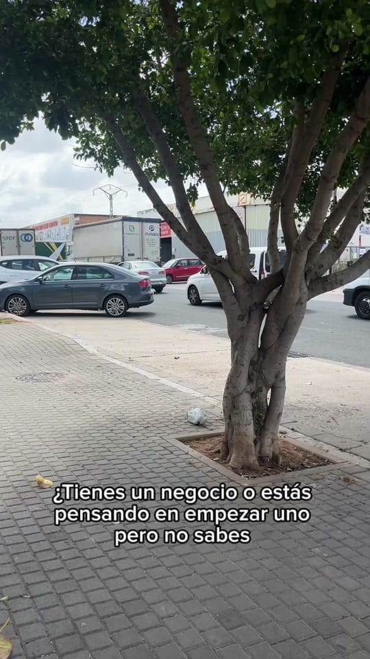Post 9 by Flying seep trade on TikTok (video)