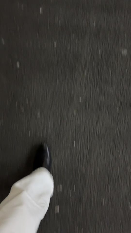 Post 1 by Goose Theory on TikTok (video)