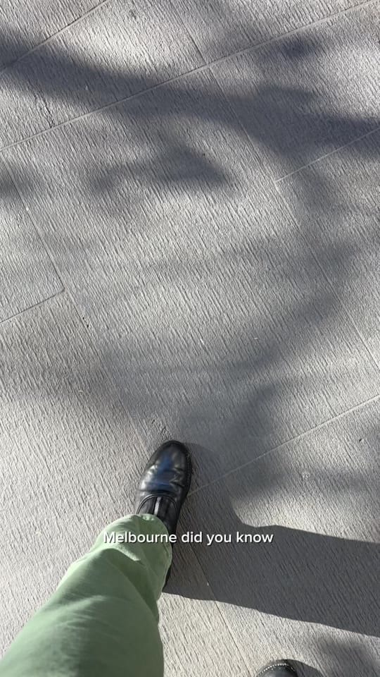 Post 6 by Goose Theory on TikTok (video)