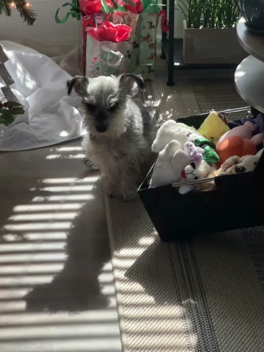 Post 3 by Bdrogaris on TikTok (video)