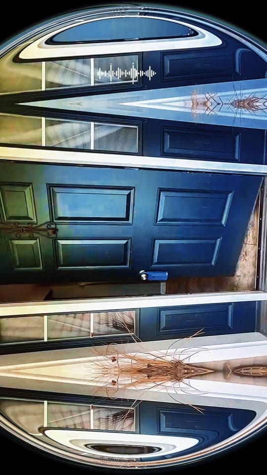 Post 7 by George on TikTok (video)