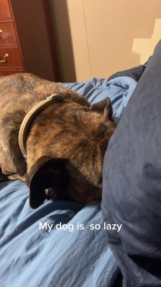Post 10 by Christina Cox on TikTok (video)