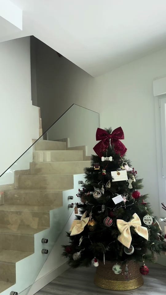 Post 5 by Marta Ruiz on TikTok (video)