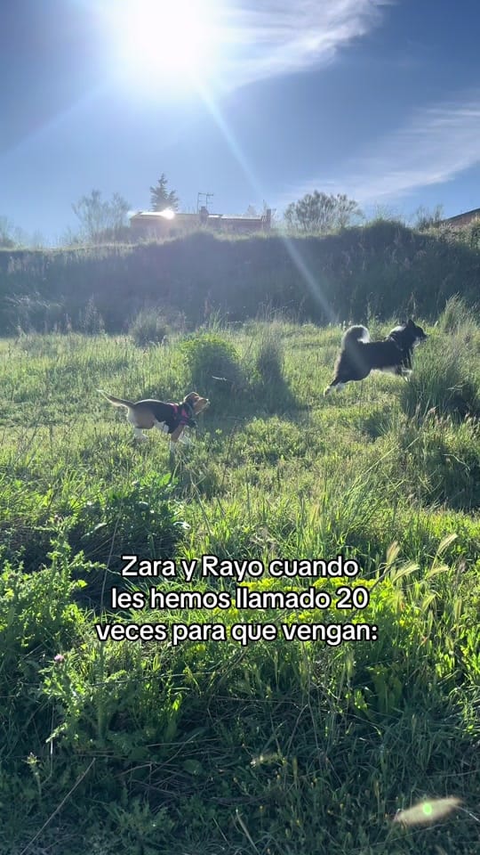 Post 3 by Marta Ruiz on TikTok (video)